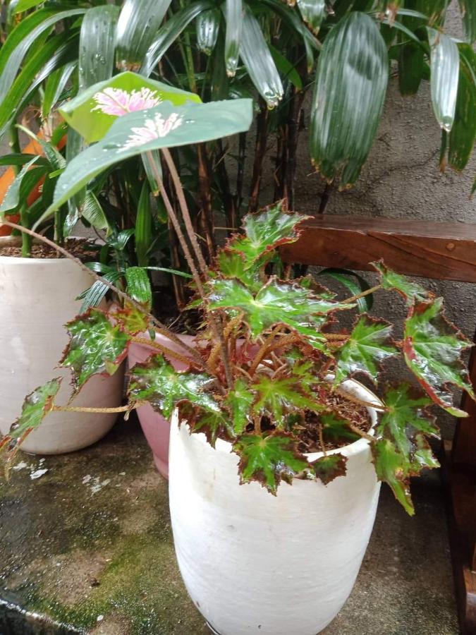 Burgos Hub Hostel Pasay Bagian luar foto